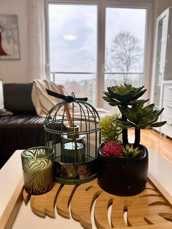 Apartman Floresta - In Front Of Japanese Garden, Enchanting Nature View, Spotless And Cozy Vrnjacka Banja Bagian luar foto